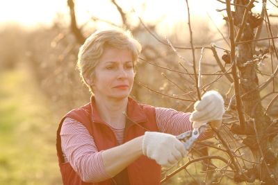 spring gardening 