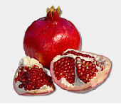 Pomegranates in San Jose, CA