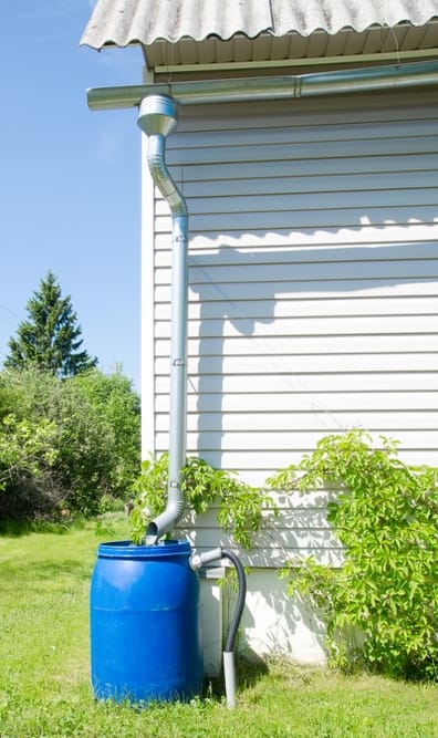 Making Use of Rain Barrels to Reduce Yard's Water Usage rain barrel