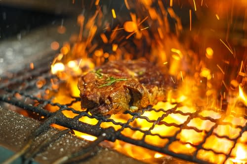 Advantages of Fire Magic Grill