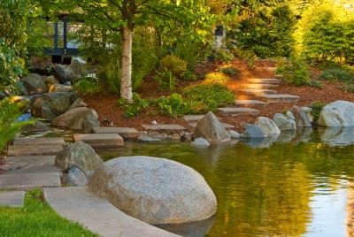 water and rocks