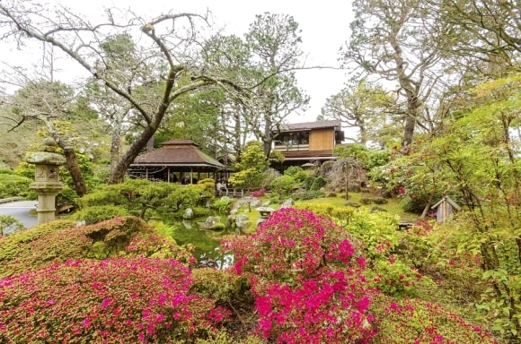 Landscaping in San Jose, CA