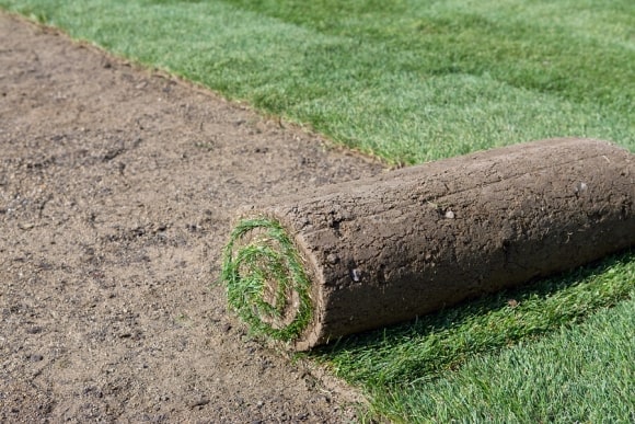 SOD installation in San Jose, CA