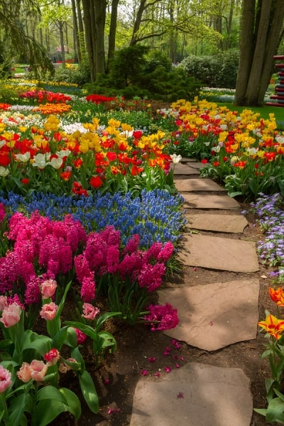 Stone Landscaping in San Jose, CA