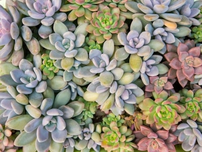 Gravel And Hardscaping